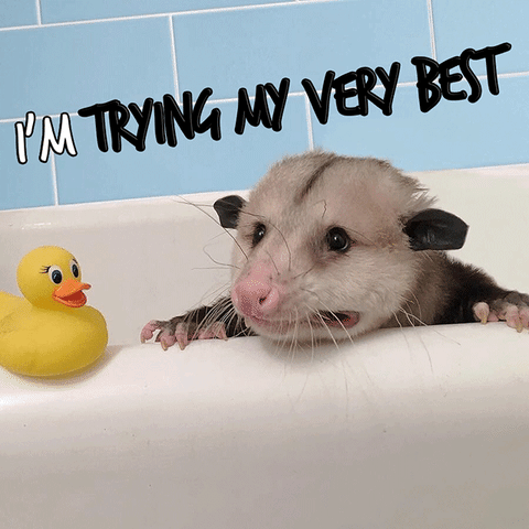 Tests Emailing